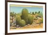 Barrel Cactus-null-Framed Art Print