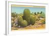 Barrel Cactus-null-Framed Art Print