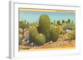 Barrel Cactus-null-Framed Art Print