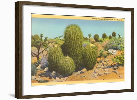 Barrel Cactus-null-Framed Art Print