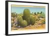 Barrel Cactus-null-Framed Art Print