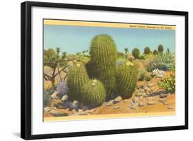 Barrel Cactus-null-Framed Art Print