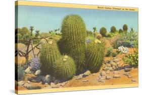 Barrel Cactus-null-Stretched Canvas