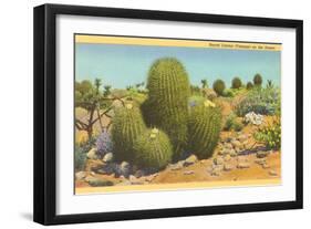 Barrel Cactus-null-Framed Art Print