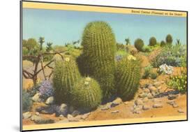 Barrel Cactus-null-Mounted Art Print