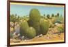 Barrel Cactus-null-Framed Art Print