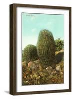 Barrel Cactus-null-Framed Art Print