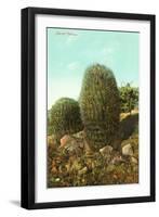 Barrel Cactus-null-Framed Art Print