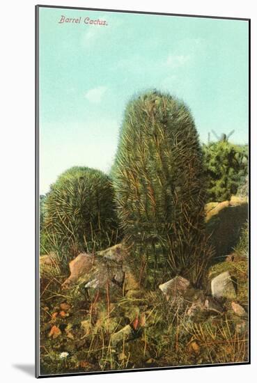 Barrel Cactus-null-Mounted Art Print