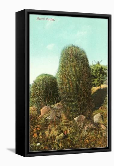 Barrel Cactus-null-Framed Stretched Canvas