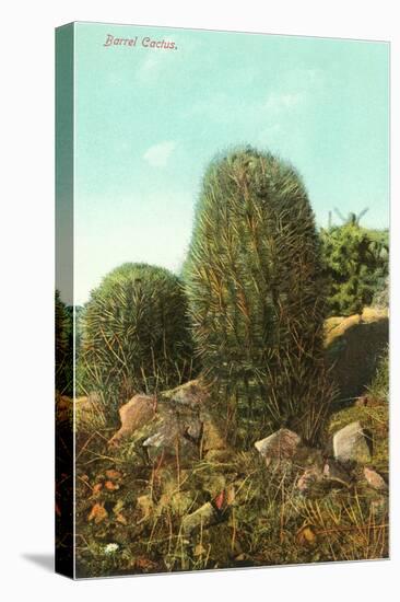 Barrel Cactus-null-Stretched Canvas