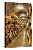 Barrel Cave, Red Mountain Ava, Eastern Yakima Valley, Washington, USA-Richard Duval-Stretched Canvas