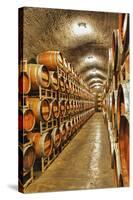 Barrel Cave, Red Mountain Ava, Eastern Yakima Valley, Washington, USA-Richard Duval-Stretched Canvas