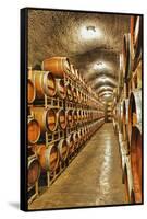 Barrel Cave, Red Mountain Ava, Eastern Yakima Valley, Washington, USA-Richard Duval-Framed Stretched Canvas