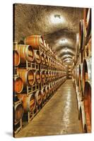 Barrel Cave, Red Mountain Ava, Eastern Yakima Valley, Washington, USA-Richard Duval-Stretched Canvas