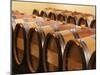 Barrel Cellar for Aging Wines in Oak Casks, Chateau La Grave Figeac, Bordeaux, France-Per Karlsson-Mounted Photographic Print