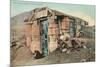 Barrel House, Tonapah, Nevada-null-Mounted Premium Giclee Print