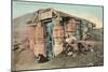 Barrel House, Tonapah, Nevada-null-Mounted Art Print