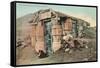 Barrel House, Tonapah, Nevada-null-Framed Stretched Canvas