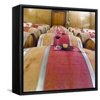 Barrel Room at Walla Walla Winery, Walla Walla, Washington, USA-Richard Duval-Framed Stretched Canvas
