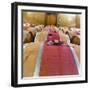 Barrel Room at Walla Walla Winery, Walla Walla, Washington, USA-Richard Duval-Framed Photographic Print