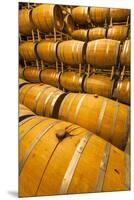 Barrel Room of a Washington Winery, Yakima Valley, Washington, USA-Richard Duval-Mounted Premium Photographic Print