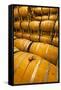 Barrel Room of a Washington Winery, Yakima Valley, Washington, USA-Richard Duval-Framed Stretched Canvas