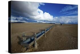 Barrel Spring, Ely, Nevada. a Remote Spring in the Nevada Desert-Richard Wright-Stretched Canvas