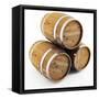 Barrel-bioraven-Framed Stretched Canvas