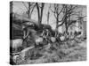 Barrels Being Rolled on Wooden Rails at Jack Daniels Distillery-Ed Clark-Stretched Canvas