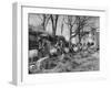 Barrels Being Rolled on Wooden Rails at Jack Daniels Distillery-Ed Clark-Framed Premium Photographic Print