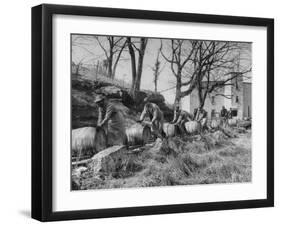 Barrels Being Rolled on Wooden Rails at Jack Daniels Distillery-Ed Clark-Framed Photographic Print