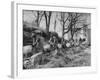 Barrels Being Rolled on Wooden Rails at Jack Daniels Distillery-Ed Clark-Framed Photographic Print