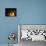 Barrels in a Cellar, Chateau Pavie, St. Emilion, Bordeaux, France-null-Mounted Photographic Print displayed on a wall