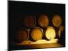 Barrels in a Cellar, Chateau Pavie, St. Emilion, Bordeaux, France-null-Mounted Photographic Print