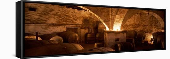 Barrels in a Winery, La Garriga, Barcelona, Catalonia, Spain-null-Framed Stretched Canvas