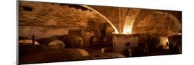 Barrels in a Winery, La Garriga, Barcelona, Catalonia, Spain-null-Mounted Photographic Print