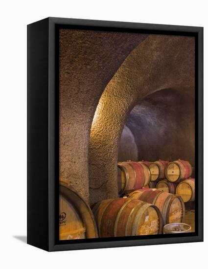 Barrels in Cellar at Long Meadow Ranch Winery, Ruthford, Napa Valley, California, USA-Janis Miglavs-Framed Stretched Canvas