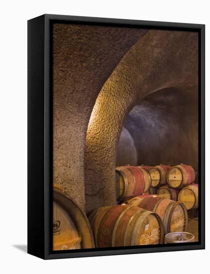 Barrels in Cellar at Long Meadow Ranch Winery, Ruthford, Napa Valley, California, USA-Janis Miglavs-Framed Stretched Canvas