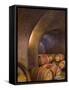 Barrels in Cellar at Long Meadow Ranch Winery, Ruthford, Napa Valley, California, USA-Janis Miglavs-Framed Stretched Canvas