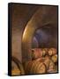 Barrels in Cellar at Long Meadow Ranch Winery, Ruthford, Napa Valley, California, USA-Janis Miglavs-Framed Stretched Canvas