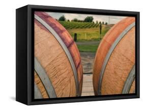 Barrels in Walla Walla Wine Country, Walla Walla, Washington, USA-Richard Duval-Framed Stretched Canvas