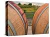 Barrels in Walla Walla Wine Country, Walla Walla, Washington, USA-Richard Duval-Stretched Canvas