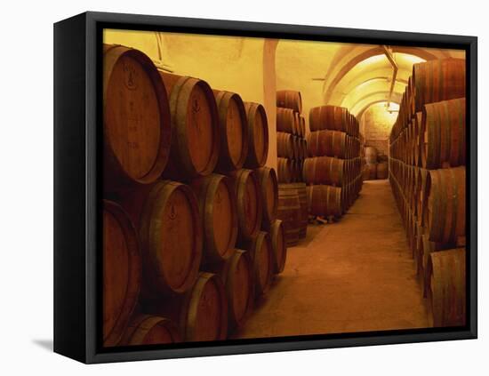 Barrels in Wine Cellar, Badia a Passignano Cave Antinos, Chianti, Tuscany, Italy, Europe-Morandi Bruno-Framed Stretched Canvas