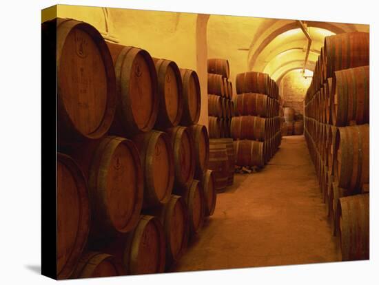 Barrels in Wine Cellar, Badia a Passignano Cave Antinos, Chianti, Tuscany, Italy, Europe-Morandi Bruno-Stretched Canvas