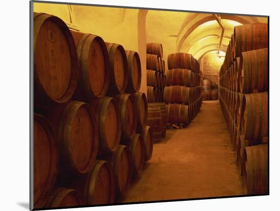 Barrels in Wine Cellar, Badia a Passignano Cave Antinos, Chianti, Tuscany, Italy, Europe-Morandi Bruno-Mounted Photographic Print