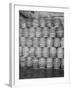 Barrels of Beer-null-Framed Photographic Print