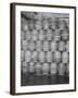 Barrels of Beer-null-Framed Photographic Print
