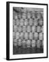 Barrels of Beer-null-Framed Photographic Print