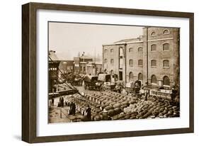 Barrels of Molasses in the West India Docks-English Photographer-Framed Giclee Print